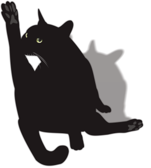 黒猫４